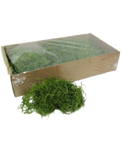 Tillandsia Moss (Forest Moss) Bag Apple Green 200g
