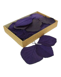 Cobra Leaves Aubergine 100 Per Box