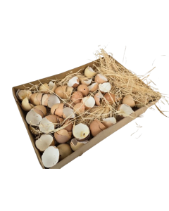 Broken Hen Shells Brown