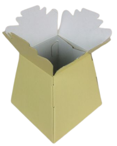 Living Vase (x30) Cream