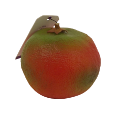 Mandarin w weight 7cm Orange/Green