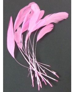 Diamond Feathers x 12 Fushia
