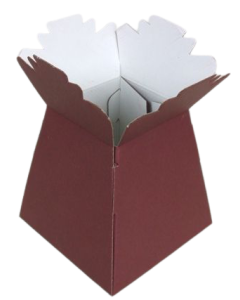Living Vase (x 30) Burgundy