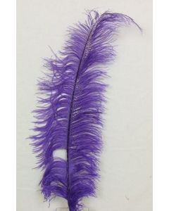 Ostrich Feathers D. Purple X 5