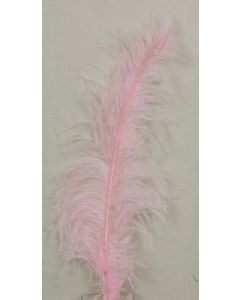 Ostrich Feathers L. Pink X 5