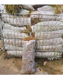 Fresh Moss - Please read additional information.