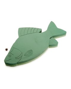Fish Foam Frames 69 x 42cm