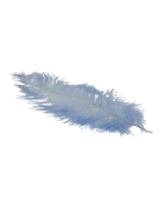 Ostrich Feathers Aqua marine x 5