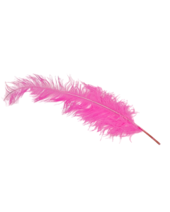 Ostrich Feathers Fuschia x 5