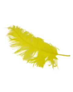 Ostrich Feathers Yellow x 5