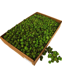 Putka Pods Light Green