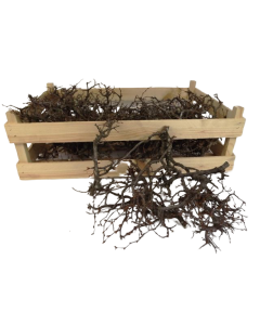 Bonsai Wood Natural App 2kg