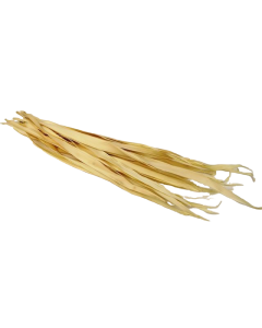 Sun Palm Leaves Bleached