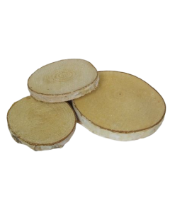Birch Woodslices Round x 19 pcs 7 - 10cm Diameter
