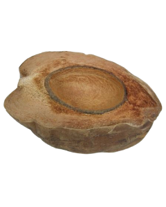 Coconut Half Natural x 3pcs