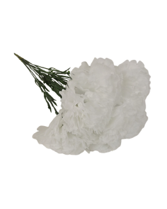 Bloom Carnations White x 12 Stems