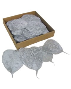 Skeleton Leaves Silver x 200
