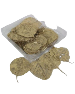 Skeleton Leaves Bleached Gold x 200