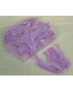 Turkey Feathers Box Lilac (Fresie)