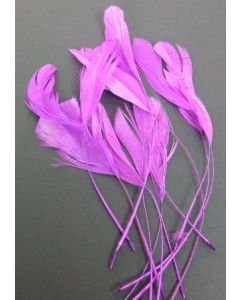 Diamond Feathers x 12 Plum