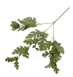 63cm Dusty Miller Spray Silver/Green