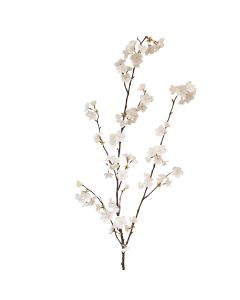 Cherry Blossom 127cm Cream