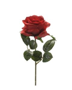 Rose Simone Red 45cm