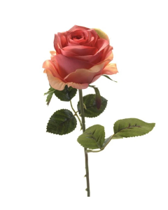 Rose Simone Pink 45cm