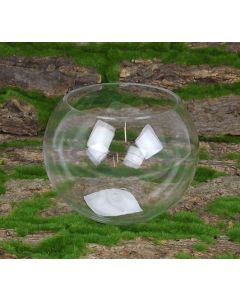 15 x 12cm Glass Bubble Bowl