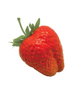 Strawberry Bag x 12pcs