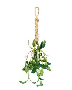 Kiss Mistletoe Bundle Green 40cm