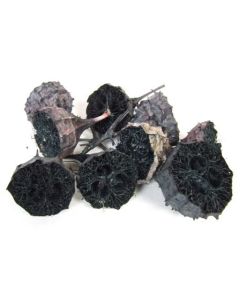 Lufa Spiky Half Black x 20
