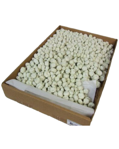 Putka Pods Misty White