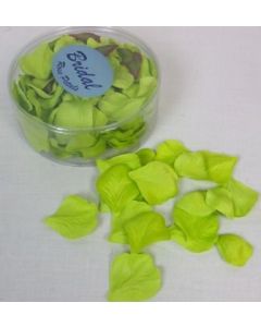 Petal Box x 164 Lime Green