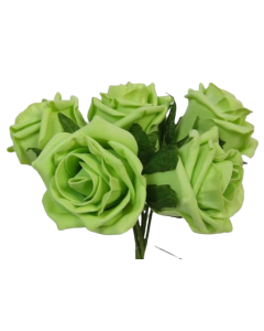 Foam Colourfast Cottage Rose x 6 Lime - DIS