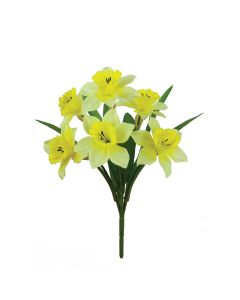 Daffodil Bush x 6 Flowers Yellow 35cm