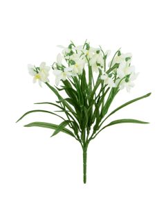 Snowdrop Bush Ivory 30cm