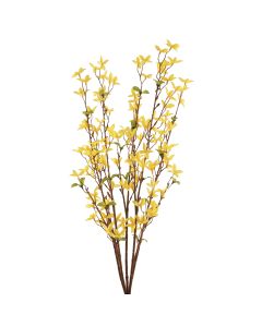 Forsythia Bush Yellow 76cm