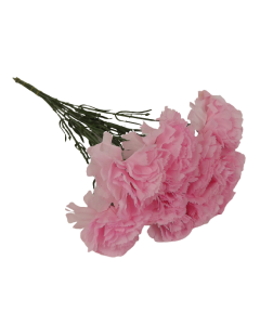 Bloom Carnations Pink x 12 Stems