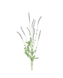 English Lavender Spray 85cm