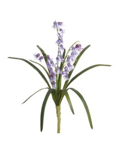 Bluebell Bush 35cm