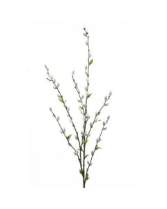 Pussy Willow Spray 115cm
