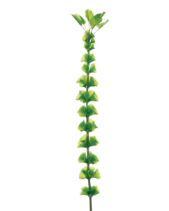 Bells Of Ireland Spray 80cm