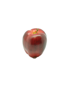 Red Delicious Apple Weighted 8cm