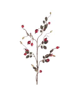 Rose Hip Spray 80cm
