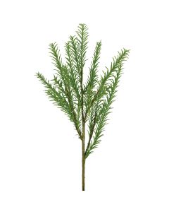 Rosemary Bush Green
