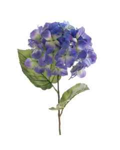 Hydrangea Macrophylla 67cm Dark Blue