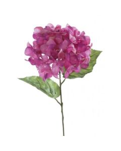 Hydrangea Macrophylla 67cm Lavender