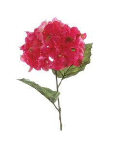 Hydrangea Macrophylla 67cm Magenta