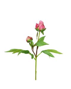 ECO Peony Bud 48cm Dark Pink